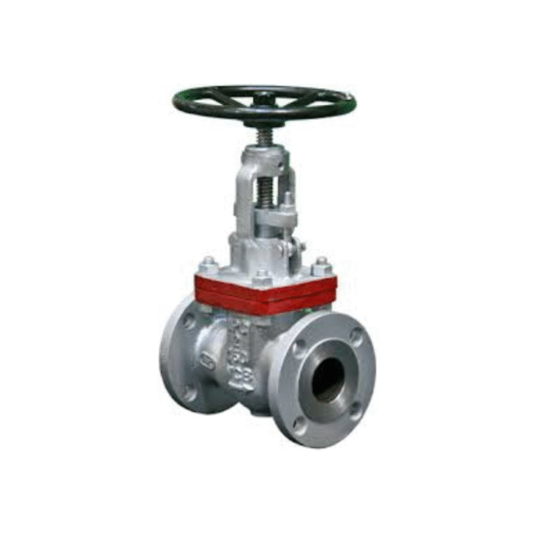 Bolted Bonnet Globe Valve