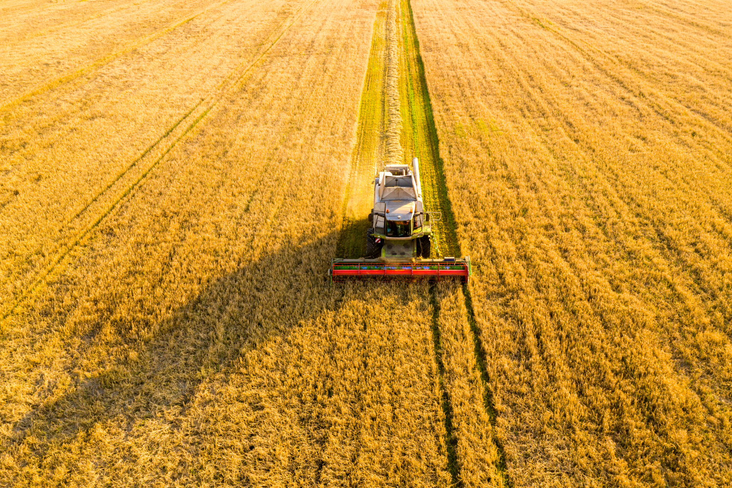 Agriculture Industry Solutions