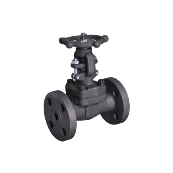 Forged Steel Globe Valve