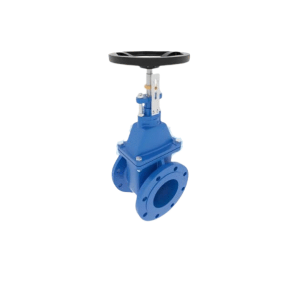 Rising Stem Sluice Valve